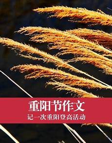 关于雪的诗歌?关于雪的诗歌,墙角的梅花也好像被冻住了