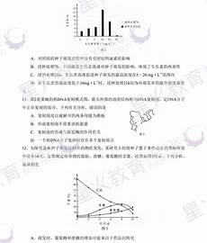 观察作文观察作文300字 300字,我发现松果在天气晴的时候