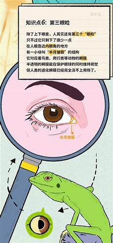 观察蚂蚁作文节选观察小蚂蚁作文三十个字